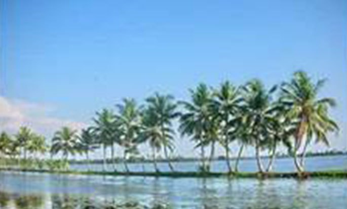 Cheruthazham
